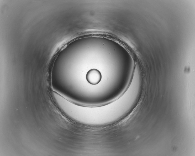 X0000093601357200710291135