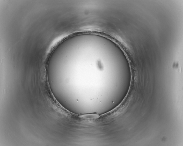 X0000093601358200710291135