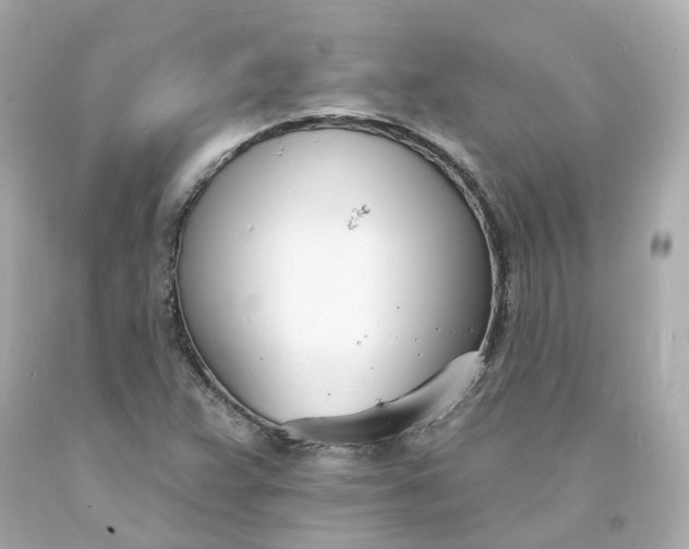 X0000093601359200710291135