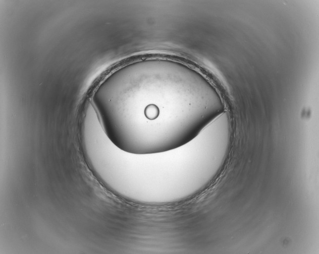 X0000093601360200710291135