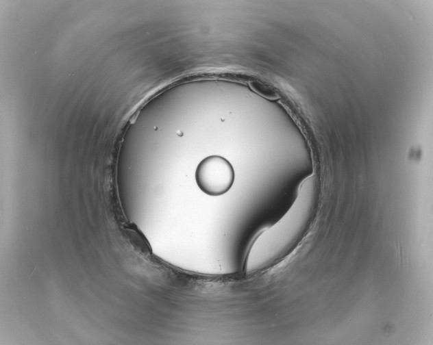 X0000093601361200710291135