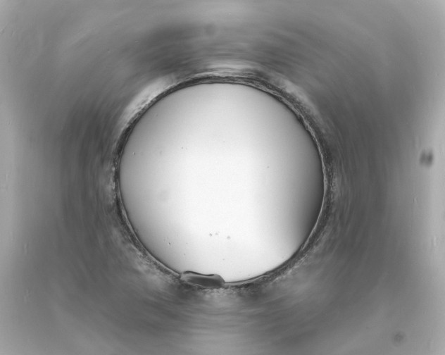 X0000093601362200710291135