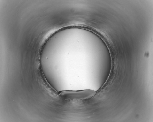 X0000093601363200710291135