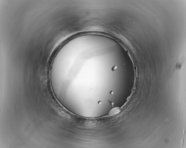 X0000093601364200710291135