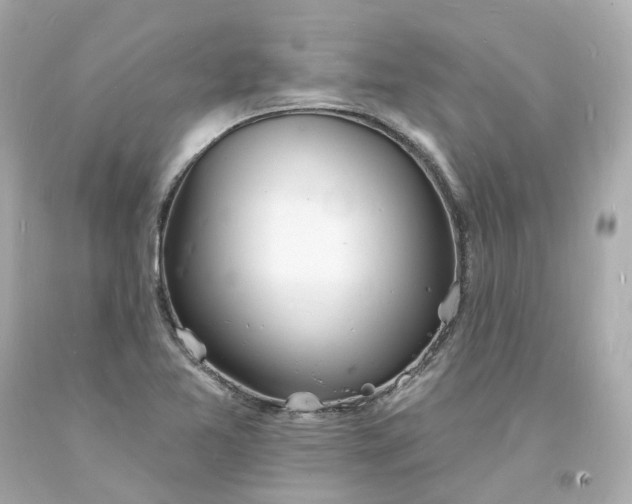 X0000093601365200710291135