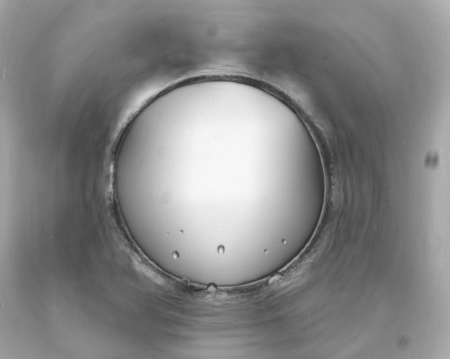 X0000093601366200710291135