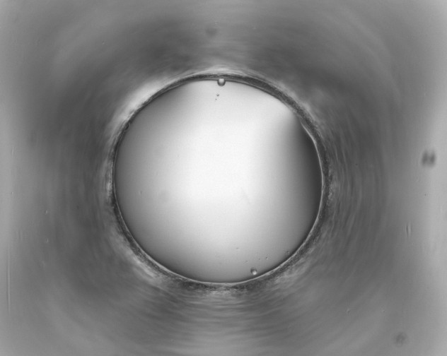 X0000093601367200710291135