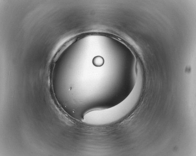 X0000093601368200710291135