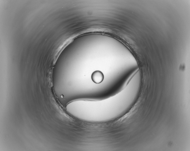 X0000093601369200710291135