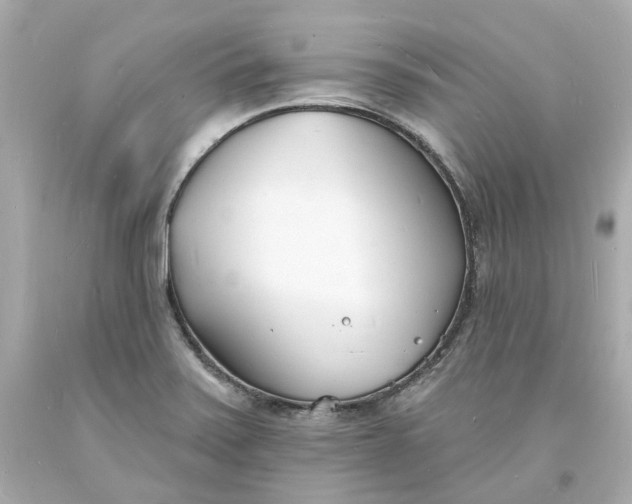 X0000093601371200710291135