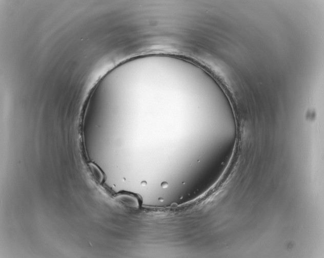 X0000093601373200710291135