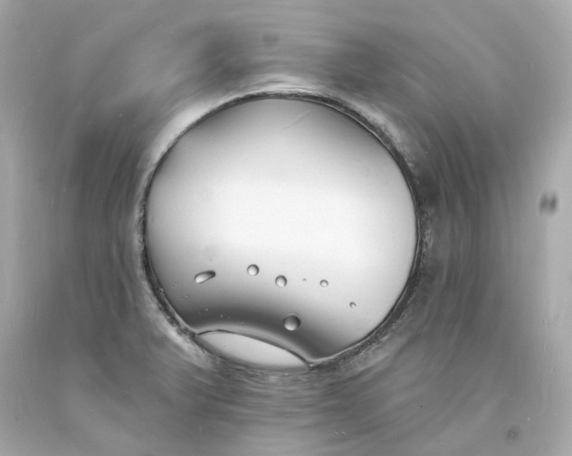 X0000093601375200710291135