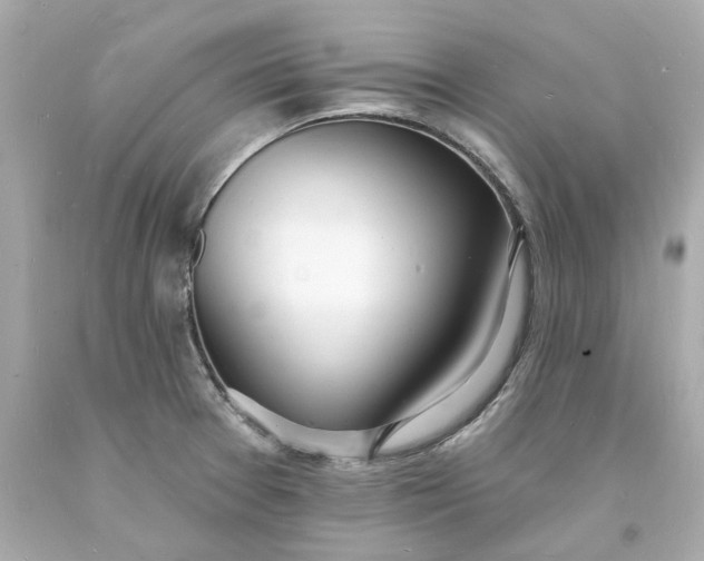 X0000093601377200710291135