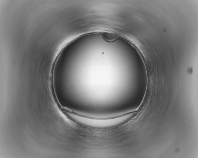 X0000093601379200710291134