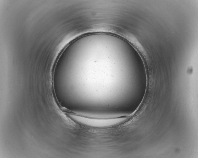 X0000093601380200710291134