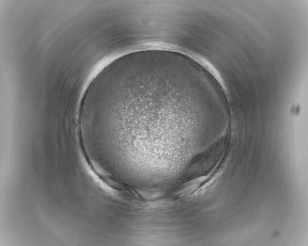X0000093601381200710291134