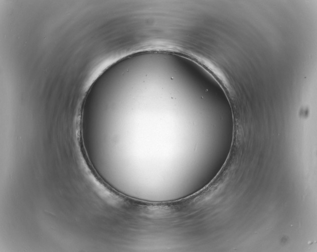 X0000093601383200710291134