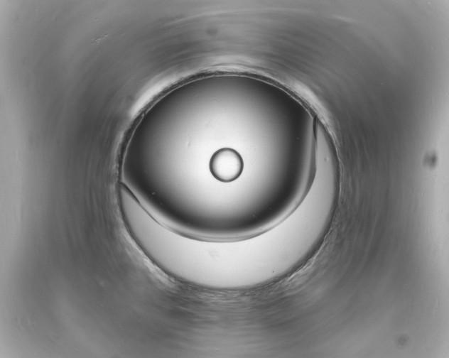 X0000093601384200710291134