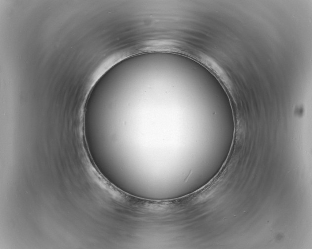 X0000093601386200710291134