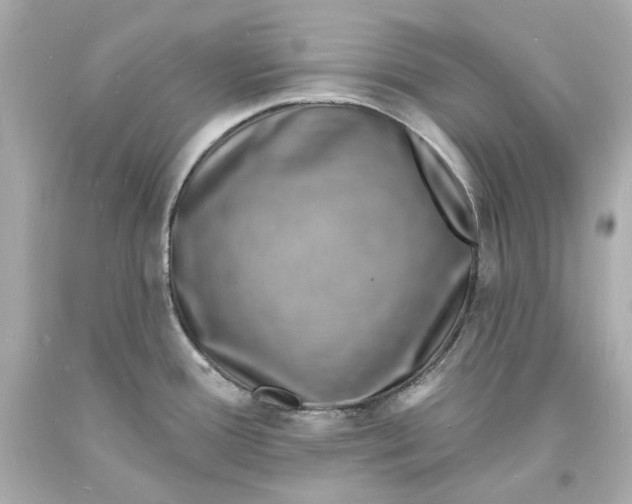 X0000093601388200710291134