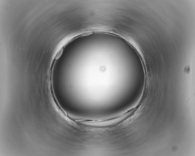 X0000093601389200710291134