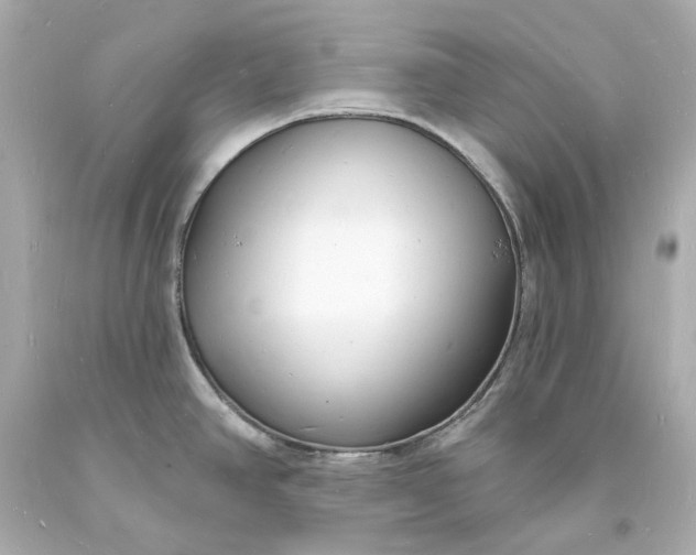 X0000093601390200710291134