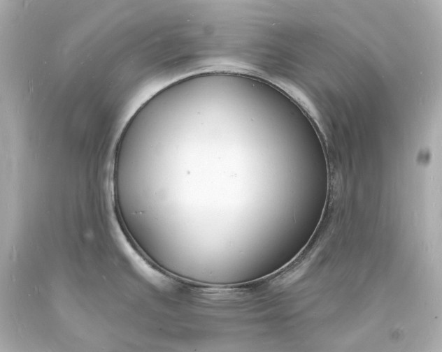 X0000093601391200710291134