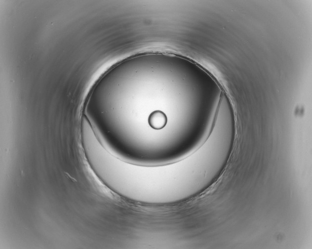 X0000093601392200710291134