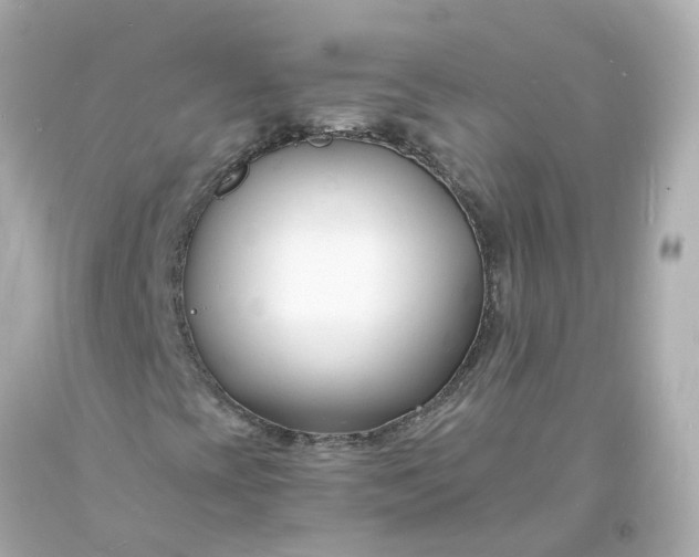 X0000093601393200710291134