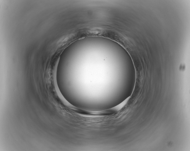 X0000093601394200710291134