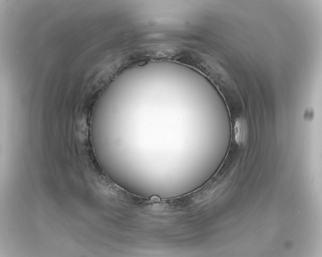 X0000093601395200710291134