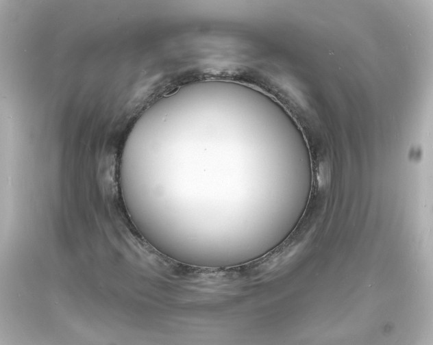 X0000093601396200710291134