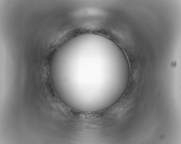 X0000093601397200710291134