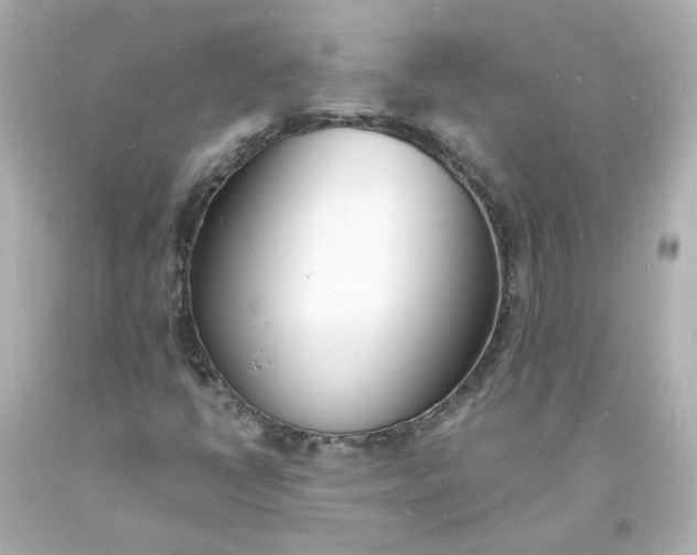 X0000093601398200710291134