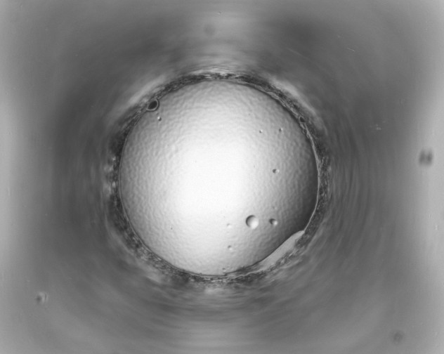 X0000093601399200710291134