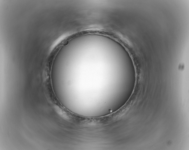 X0000093601400200710291134