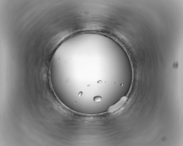 X0000093601401200710291134