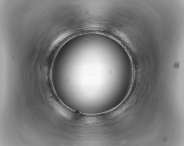 X0000093601402200710291134