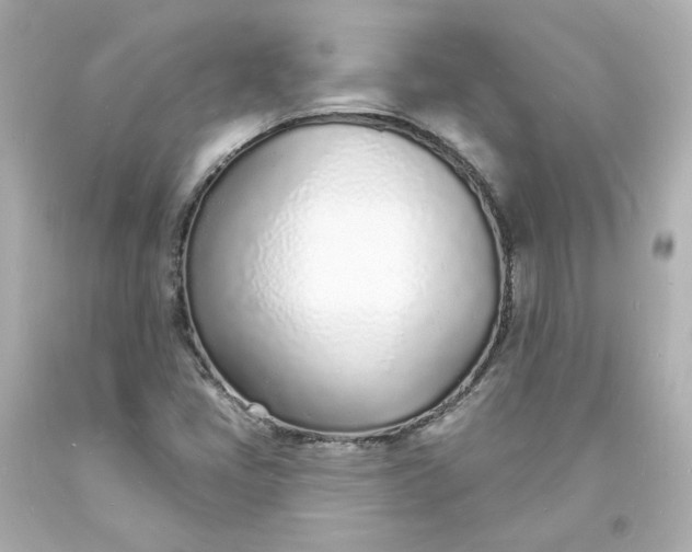 X0000093601405200710291134