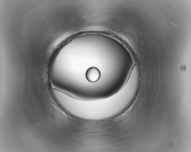 X0000093601406200710291134