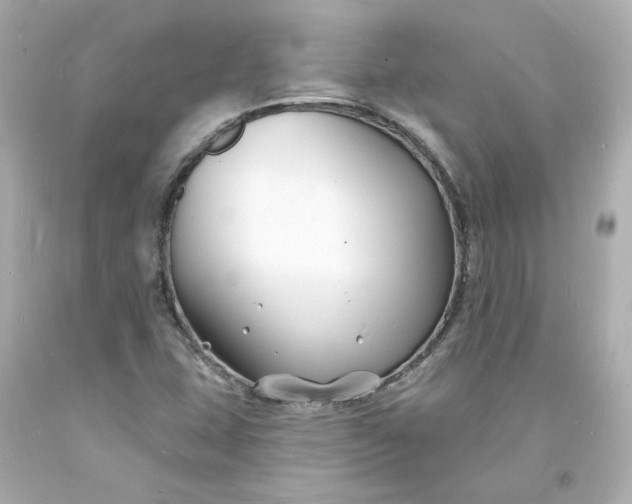 X0000093601407200710291134