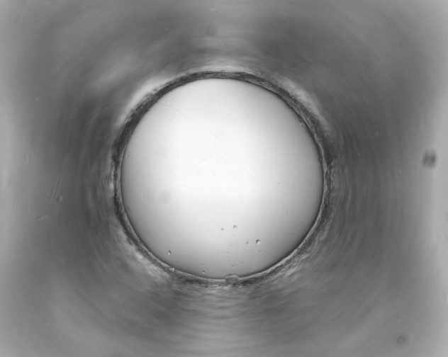 X0000093601408200710291134