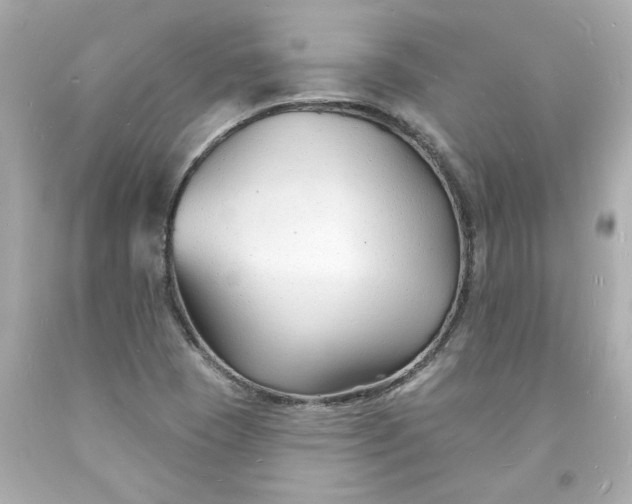 X0000093601409200710291134