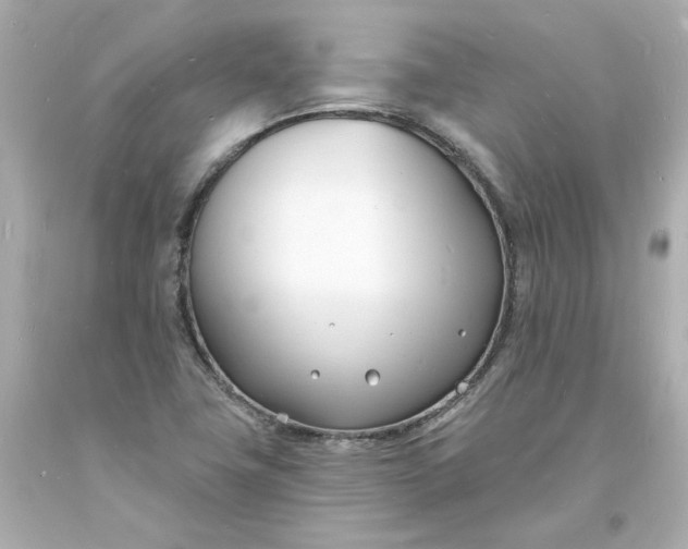 X0000093601411200710291134