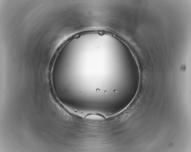 X0000093601412200710291134