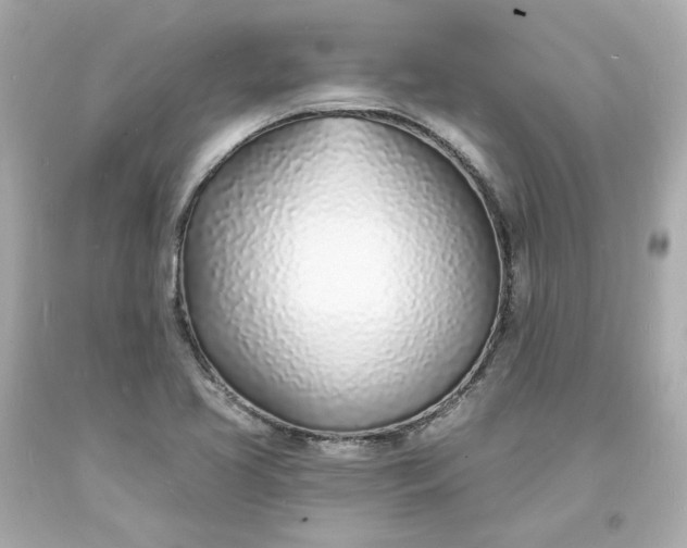 X0000093601413200710291134