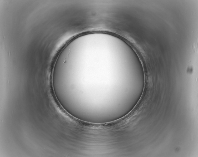 X0000093601416200710291134