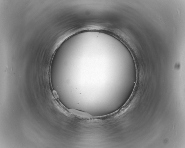 X0000093601417200710291134