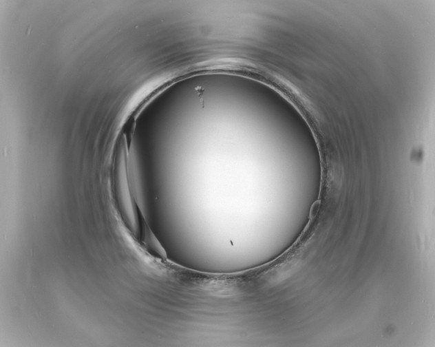 X0000093601418200710291134