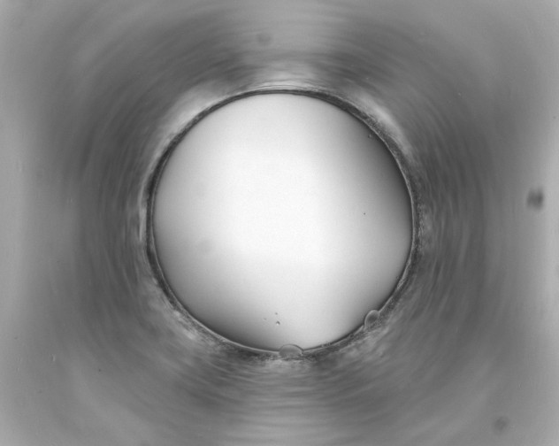 X0000093601419200710291134